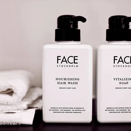 Ξενοδοχείο Scandic 3*